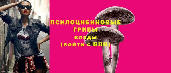 соль ск Арсеньев